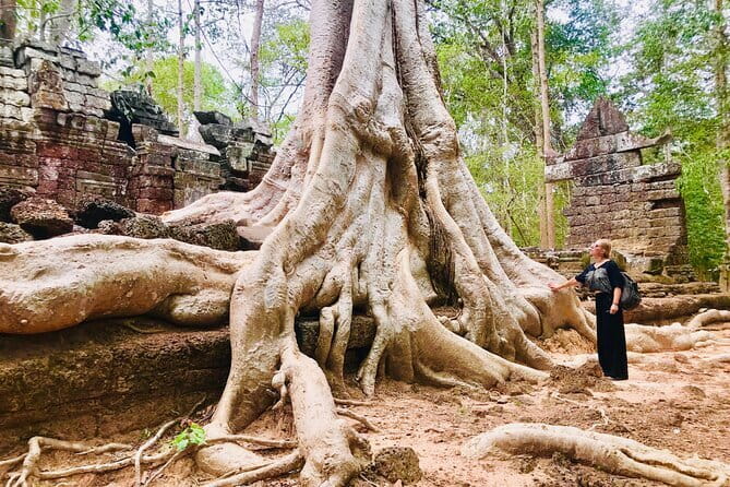 1-Day Angkor Wat Cycling Tour: Scenic Bike Adventure in Siem Reap - The guide matters: why context turns monuments into stories