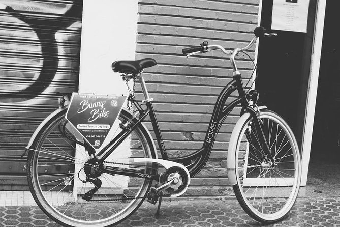 1 Day Bike Rental in Seville city - Best for: who will enjoy this rental most