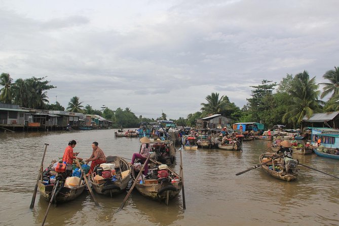 1-day Mekong Delta Tour: Cai Be Market, Local Island and Cycling - Cycling Through Cai Be: Orchards, Roads, and a Slower Sense of Place