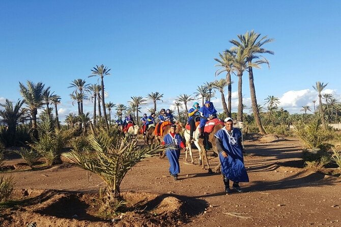 1-Hour Camel Ride and 1-Hour Quad Bike Ride in Marrakech. - Price and Value: What You’re Really Paying For