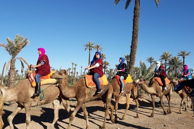 1-Hour Camel Ride and 1-Hour Quad Bike Ride in Marrakech. - Camel Ride Hour: Calm Motion and Better Photo Chances