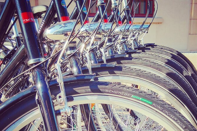 2 1/2h Guided Bicycle Tour Discover Heidelberg - Bergfriedhof: A Quiet Contrast With Big Names