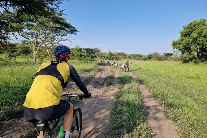 2 Days Cycling Safari To Lake Mburo National Park - Key highlights before you go