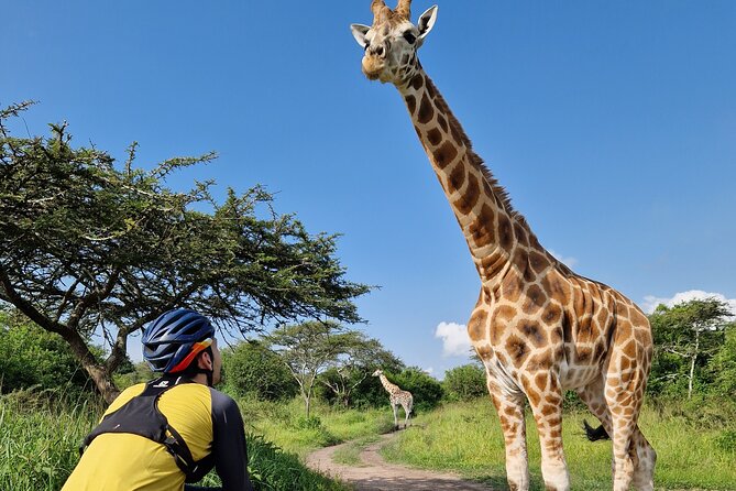 2 Days Cycling Safari To Lake Mburo National Park - Bikes, helmets, and fit: who will enjoy this most