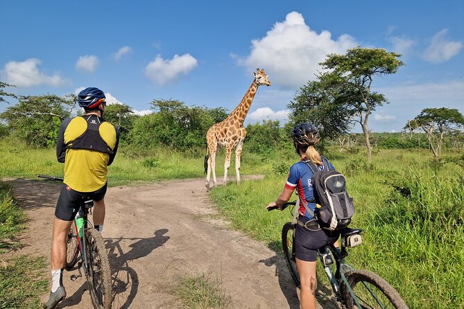 2 Days Cycling Safari To Lake Mburo National Park - Price and value: what $575 really covers