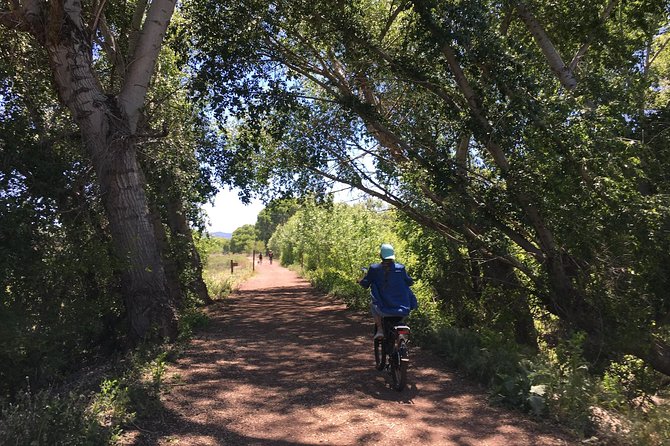 2 Hour E bike Ride at The Peavine Trail (Popular) - The route: an out-and-back ride with easy navigation