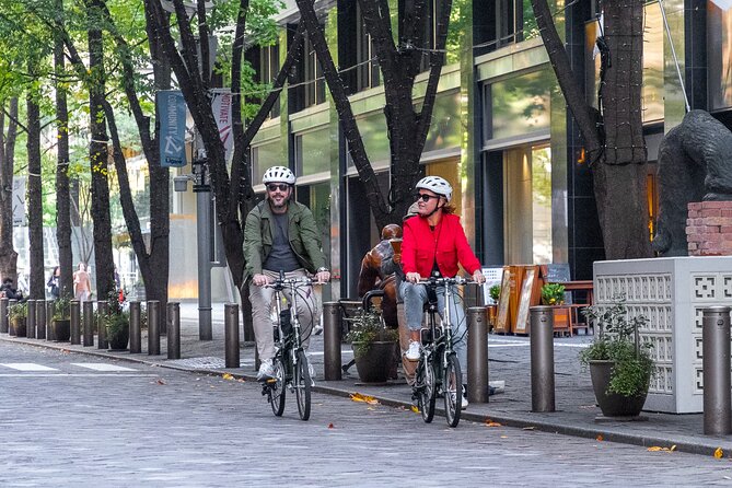 3-Hour Tokyo Private E-Bike Tour Starting from Your Hotel - Key highlights that matter in real life