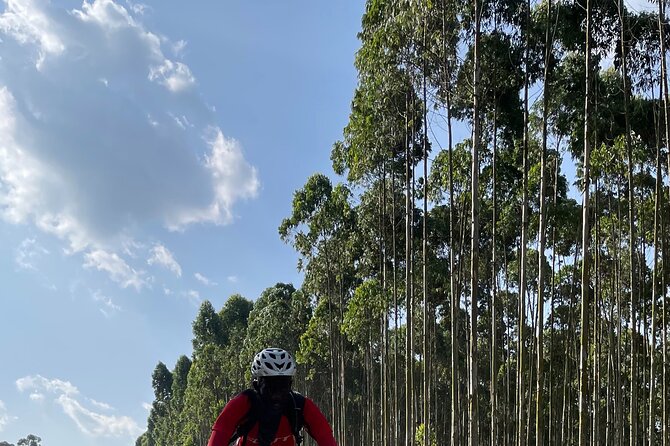 3 Hours Guided Cycling Tour Across Lake Victoria - Helmets, Mountain Bikes, and How Challenging It Really Is