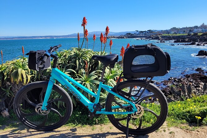 4 hour Electric Bike Rental on 17 Mile Drive - Who This E-Bike Rental Fits Best