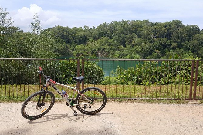 4 Hours Cycling in the Nature at Pulau Ubin Singapore - Bikes, helmets, and your safety reality check