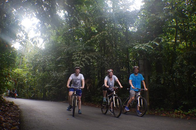 4 Hours Cycling in the Nature at Pulau Ubin Singapore - Price and value: what you’re paying for with $84.74 per person