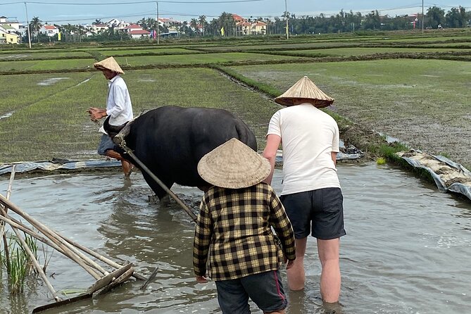 5-Hour Discovery Countryside by Cycling, Buffalo and Basket Boat - The water palm coconut paradise: basket boat riding on bamboo