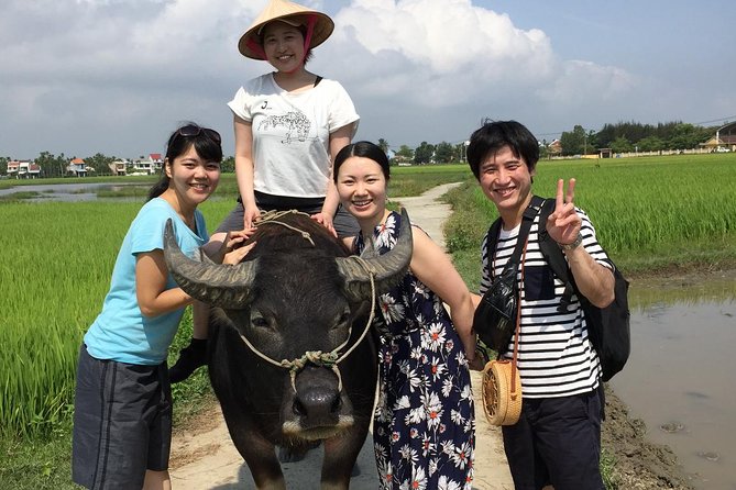 5-Hour Discovery Countryside by Cycling, Buffalo and Basket Boat - Price and value: $10 for an animal + boat + farm day