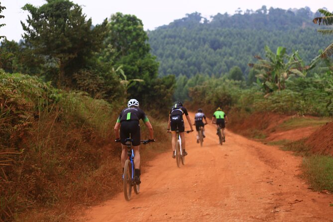 7 Hours Guided Cycling Tour to Sezibwa Waterfalls - Key highlights worth your attention