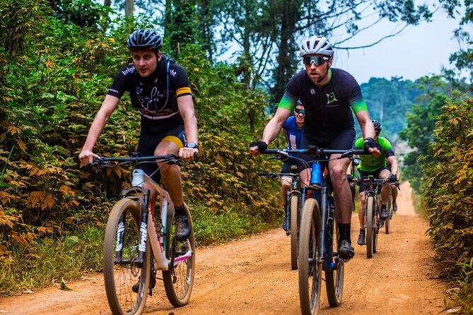 7 Hours Guided Cycling Tour to Sezibwa Waterfalls - Lake Victoria boat cruise: your warm-up with real views