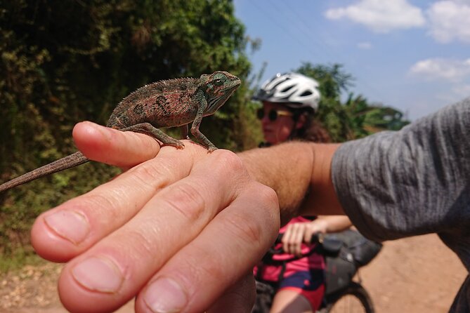 7 Hours Guided Cycling Tour to Sezibwa Waterfalls - Tea and sugarcane farms, villages, and the best kind of “pause”
