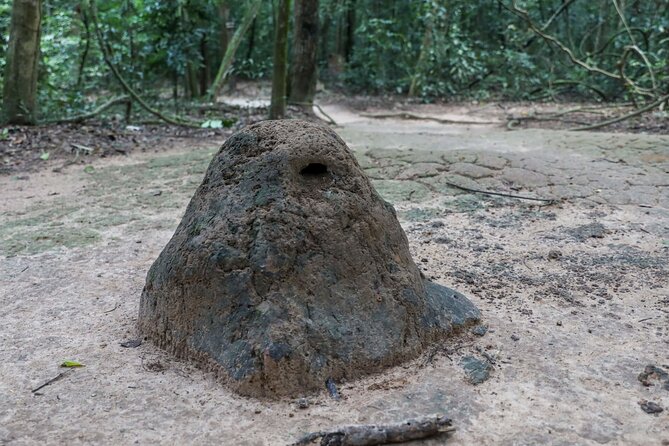 Adventure Cycling & Kayak Mekong-CuChi Tunnels Private Day Tour - Ben Luc Province Cycling: Fruit Farms and Rice Field Views, Up Close