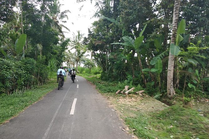 Bali Amazing Cycling Tour - Kintamani morning: rice terraces, coffee processing, and Batur air
