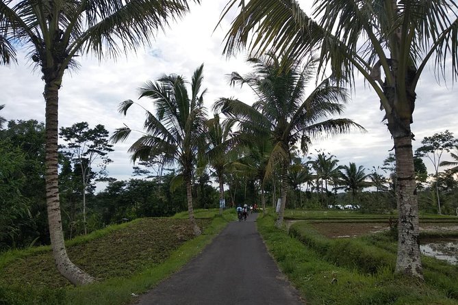 Bali Amazing Cycling Tour - Downhill cycling through villages, paddies, and temple life