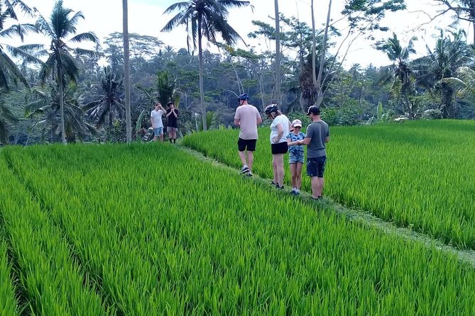 Bali Countryside Cycling Adventure - Key things I’d plan around