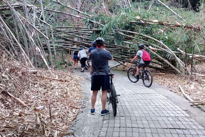 Bali Countryside Cycling Adventure - Penglipuran Bamboo Forest: the 7.5-hectare stretch you’ll remember