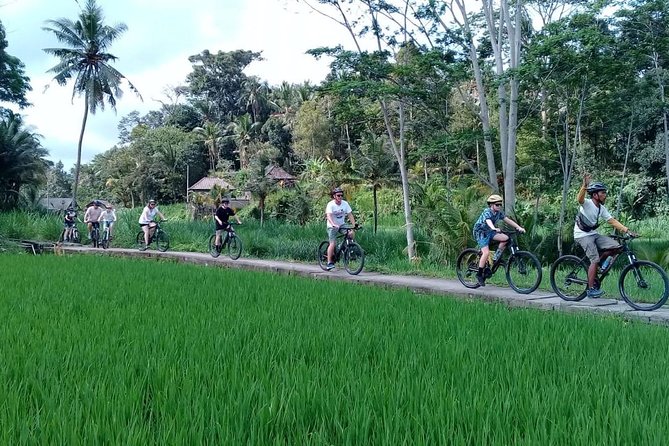Bali Countryside Cycling Adventure - Penglipuran Village and Bangli market streets: culture with walking breaks