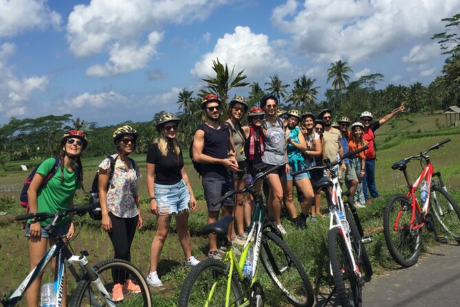 Bali Countryside Cycling Tour by Halo Bike Tour - Who This Bali Cycling Tour Is Best For