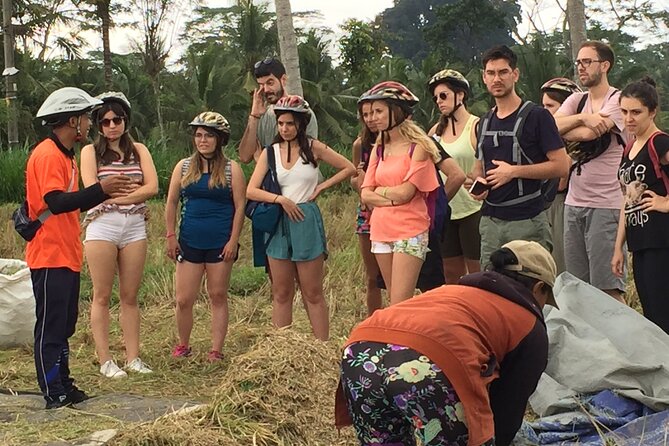 Bali Countryside Cycling Tour by Halo Bike Tour - Practical Tips to Make Your Day Smoother