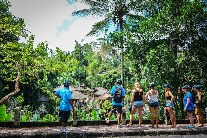 Bali Countryside Cycling Tours - Pura Taman Narmada Bali Raja: a Subak water temple moment in the paddies