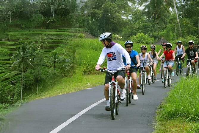 Bali Countryside Eco Cycling Tour include Lunch - Lunch at the end: traditional Balinese food you help make