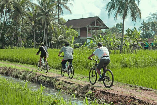 Bali Countryside Eco Cycling Tour include Lunch - Where you ride: from Kemenuh and Sukawati into village Bali