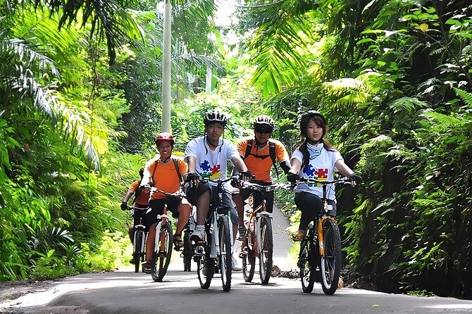 Bali Cycling and Ubud Waterfall Tour - Why This Downhill Bali Cycle Works for Real People