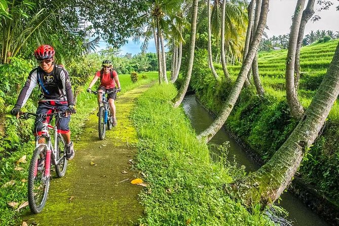 Bali Downhill Cycling and White Water Rafting - How the Day Flows: Kintamani to Ubud to Ayung River