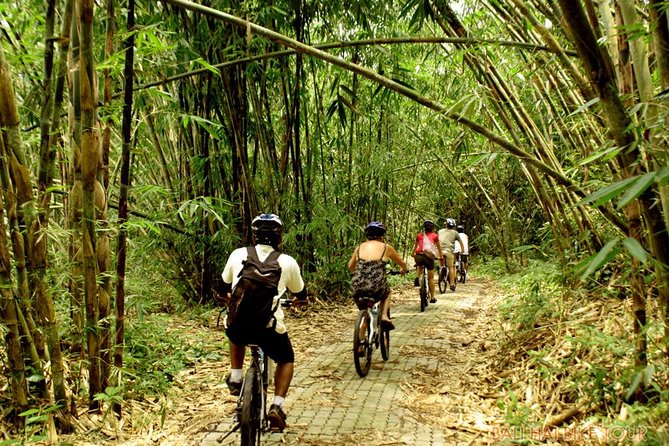 Bali Downhill Cycling and White Water Rafting - Downhill Cycling Through Villages and Rice Paddies
