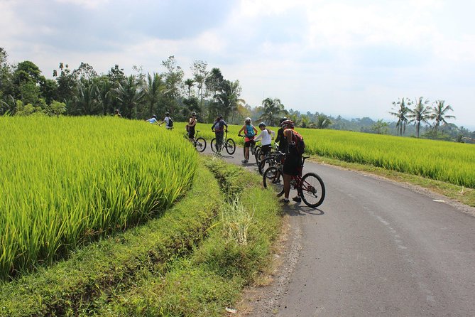 Bali Downhill Cycling and White Water Rafting - Who This Tour Fits Best (and Who Might Hesitate)
