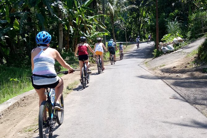 Bali Downhill Natural Cycling Tour & visit Volcano - Bike Start at Balai Desa Pekraman Pukuh: Fit, Setup, Go