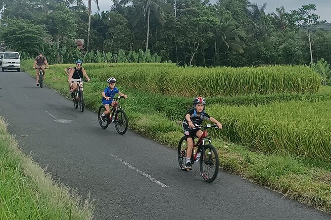 Bali Downhill Natural Cycling Tour & visit Volcano - The Ride Itself: How the Downhill Feels Day-After-Day