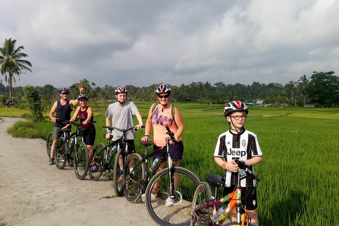 Bali Downhill Natural Cycling Tour & visit Volcano - Your Route From Ubud: Small Roads, Rice Paddies, and Culture Stops