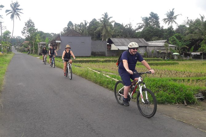 Bali Eco & Educational Cycling Tour - Price and value: what $48.87 really covers