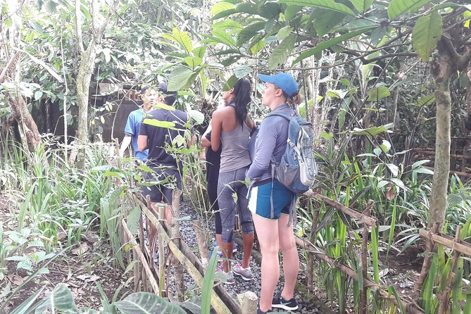 Bali Eco & Educational Cycling Tour - Pace, timing, and how to plan your day in Ubud