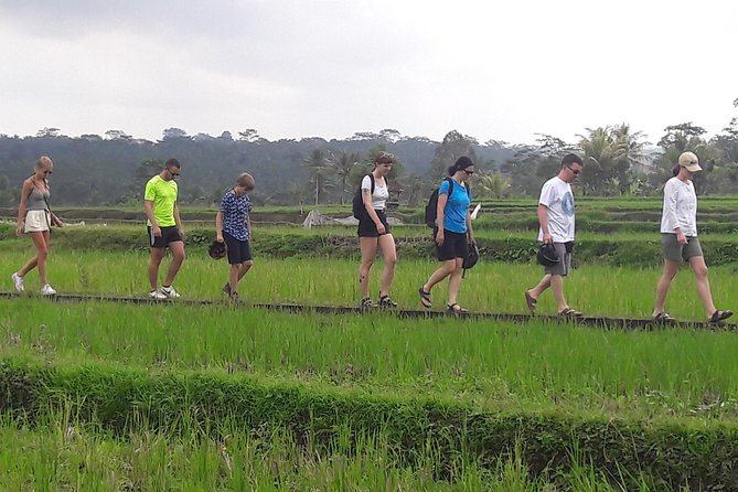 Bali Eco & Educational Cycling Tour - Who should book this cycling tour in Bali