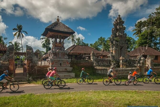 Bali Eco & Educational Cycling Tour - The downhill ride: secret back roads, villages, and rice paddies