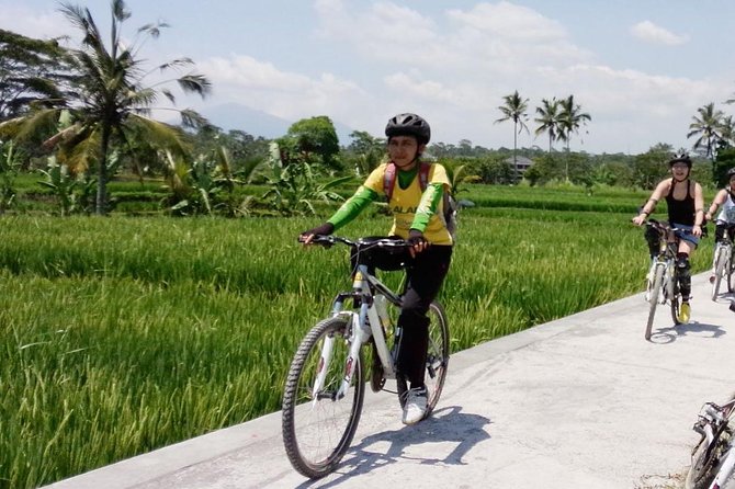Bali Mountains and Villages Cycling Tour - Key Things to Know Before You Pedal Through Bali