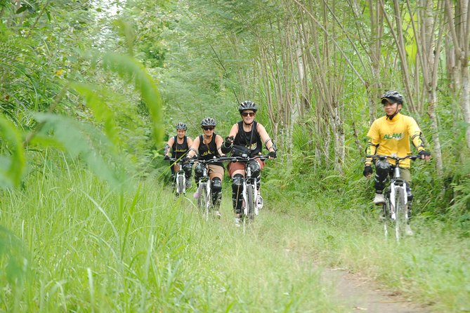 Bali Mountains and Villages Cycling Tour - Why This Bali Bike Day Feels Like the Real Island