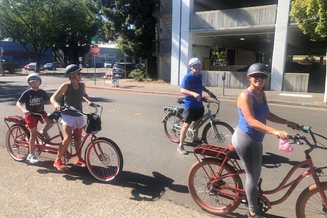 Best E-Bike Rental! Wine country fun - Who this Santa Rosa e-bike ride fits best