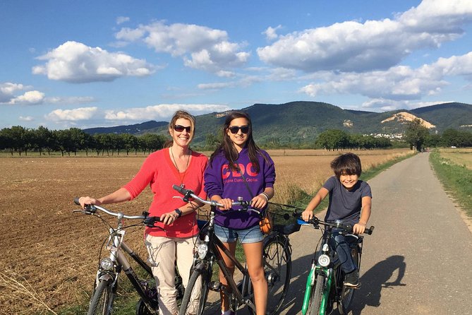 Bicycle Tour from Heidelberg to quaint Ladenburg. - Key Highlights You’ll Actually Feel During the Ride