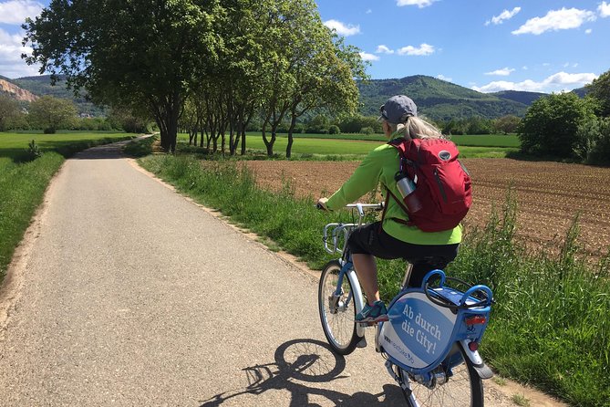 Bicycle Tour from Heidelberg to quaint Ladenburg. - The Heidelberg Pre-Ride: History Talk and University Campus
