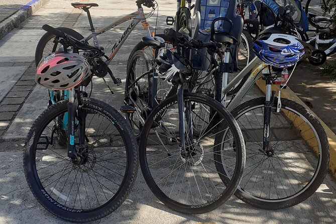 Bicycle Tour in Ixtapa - Playa Linda: lagoon wildlife, the San Jose River, and the easy return