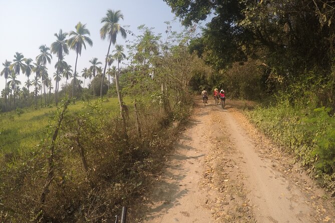 Bicycle Tour in Ixtapa - Bikes, inclines, and the kind of fitness you need
