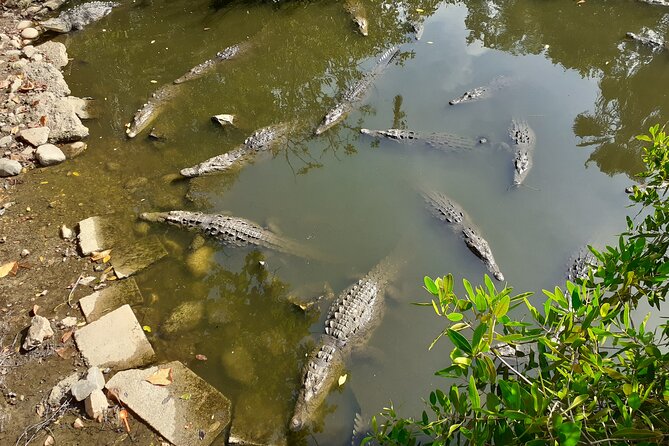 Bicycle Tour in Ixtapa - Small-group guide time: how Luis and the team shape the ride